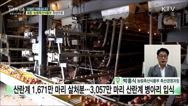 계란 수입 대폭 확대···올 연말 되어야 계란값 회복? [사실은 이렇습니다]