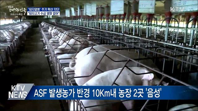 'ASF' 추가 확산 차단···"돼지고기 수급 영향 없어"