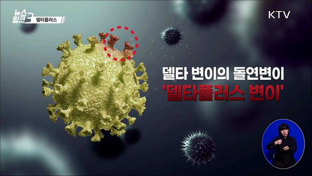 델타플러스 [뉴스링크]