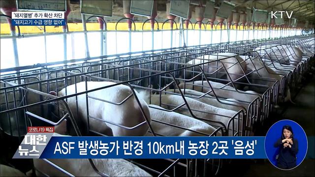 'ASF' 추가 확산 차단···"돼지고기 수급 영향 없어"