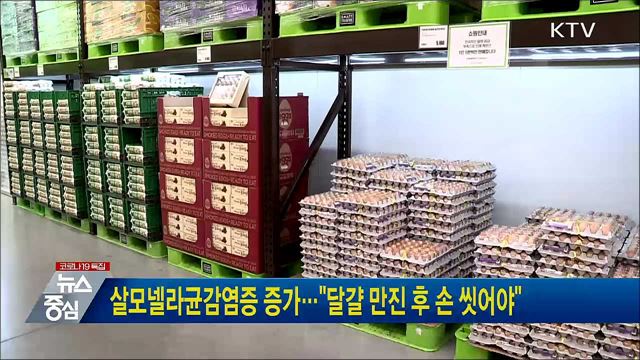 살모넬라균감염증 증가···"달걀 만진 후 손 씻어야"