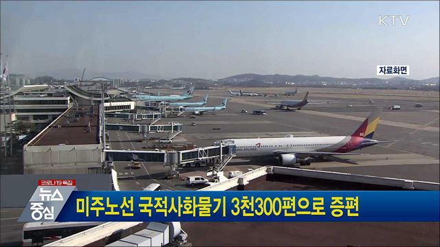 미주노선 국적사화물기 3천300편으로 증편