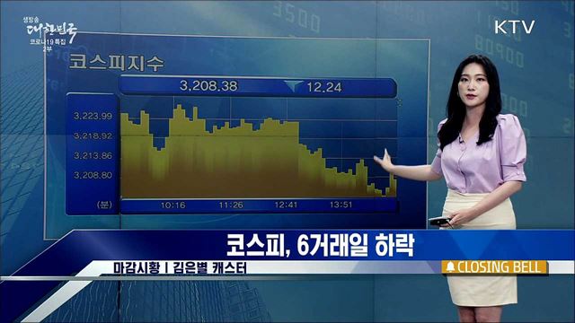 코스피, 6거래일 하락 [증권시장]