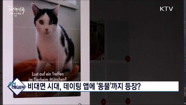 비대면 시대, 데이팅 앱에 '동물'까지 등장? [굿모닝 해외토픽]