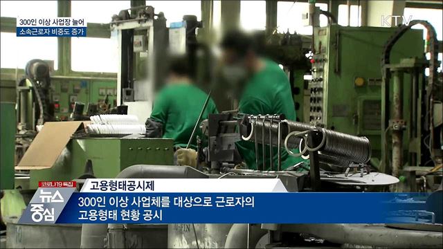 300인 이상 사업장 늘어···소속근로자 비중도 증가