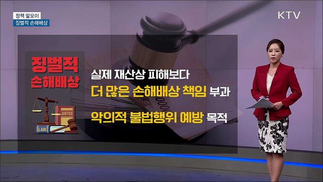 징벌적 손해배상 [정책 말모이]