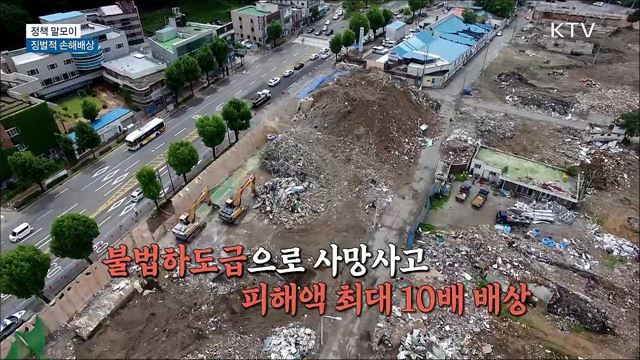 징벌적 손해배상 [정책 말모이]