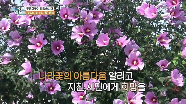 국립세종수목원, '무궁화꽃'으로 물들다