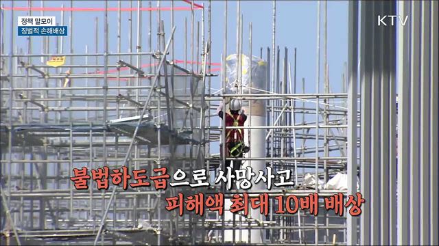 징벌적 손해배상 [정책 말모이]