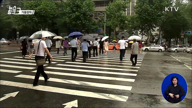 패럴림픽 [뉴스링크]