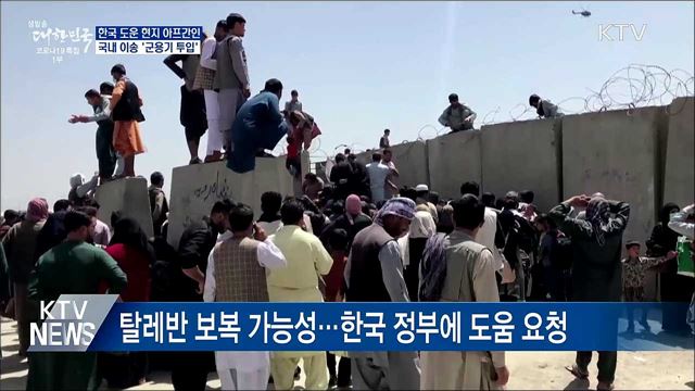 한국 도운 아프간인 국내이송···군용기 투입