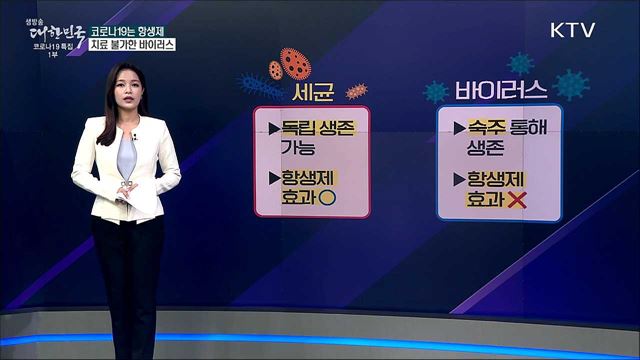 코로나19는 사실 세균이다? [사실은 이렇습니다]