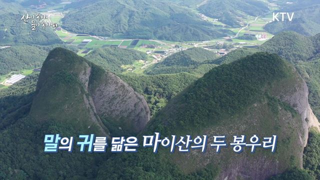 (하이라이트) 산이 좋아 물이 좋아 시즌2 하이라이트 미리보기 - 진안 - 진안고원 낭만농부
