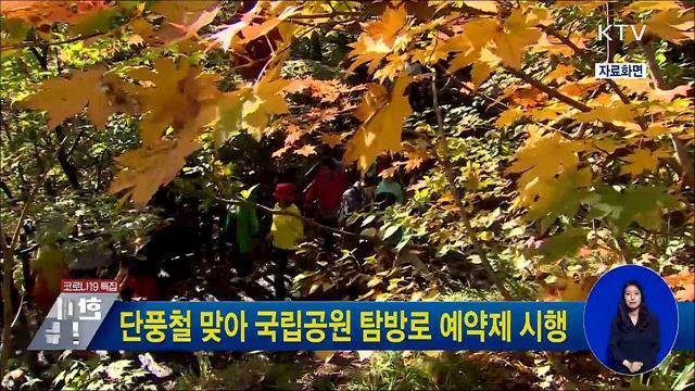 단풍철 맞아 국립공원 탐방로 예약제 시행