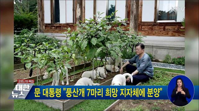문 대통령 "풍산개 7마리 희망 지자체에 분양"
