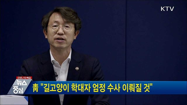 靑 "길고양이 학대자 엄정 수사 이뤄질 것"