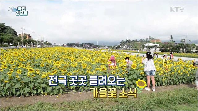 가을이 성큼, 다양한 공간에서 '이색 꽃밭' 즐겨요