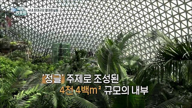 국내 최대 식물원, 정글 분위기 연출로 인기