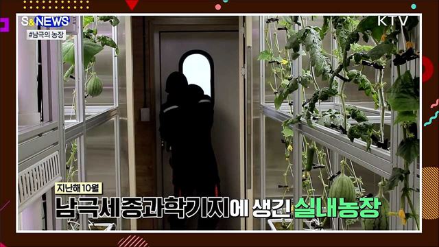 남극에서 애호박 된장찌개 먹는다?! [S&News]