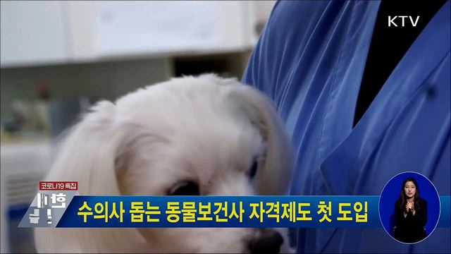 수의사 돕는 동물보건사 자격제도 첫 도입