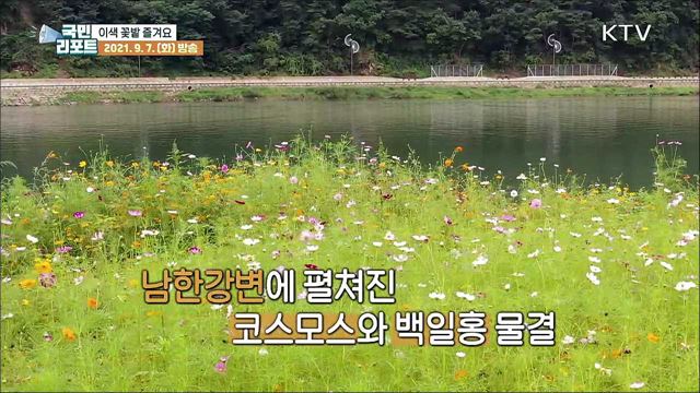 가을이 성큼, 다양한 공간에서 '이색 꽃밭' 즐겨요