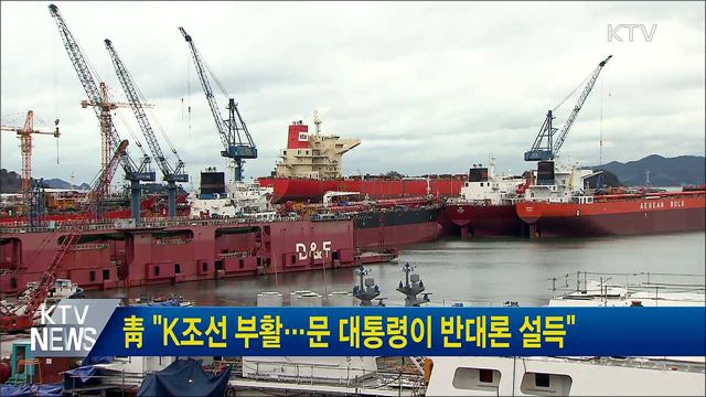 靑 "K조선 부활···문 대통령이 반대론 설득"