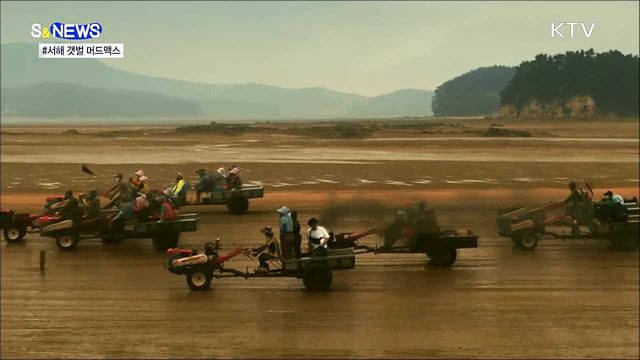 한국 홍보영상 또 대박···이번엔 '머드맥스' [S&News] 