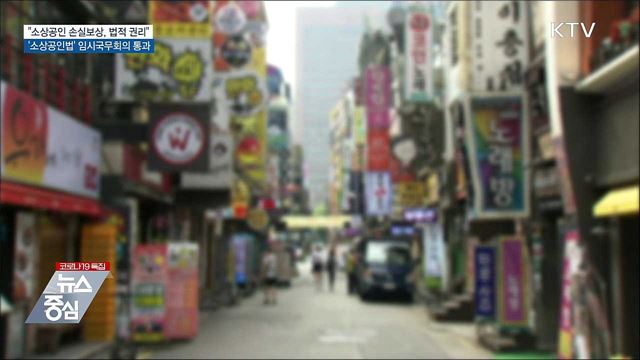 "소상공인 손실보상, 법적 권리"···소상공인법 의결