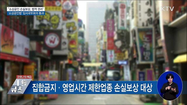 "소상공인 손실보상, 법적 권리"···소상공인법 의결