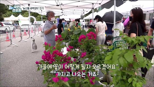 일산 호수공원 주말 '농산물 새벽장터' 인기