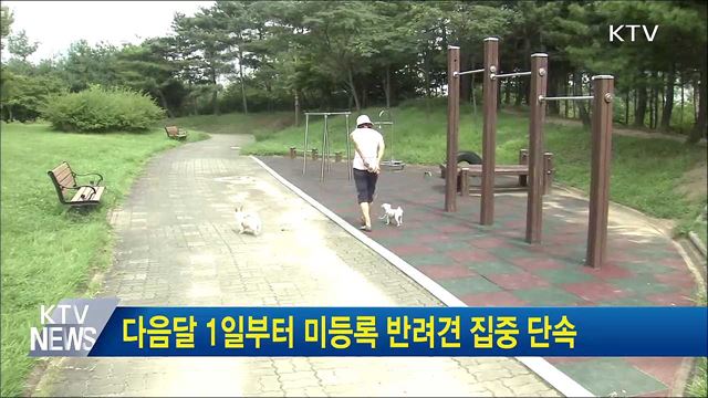 다음달 1일부터 미등록 반려견 집중 단속