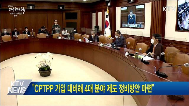 "CPTPP 가입 대비해 4대 분야 제도 정비방안 마련"