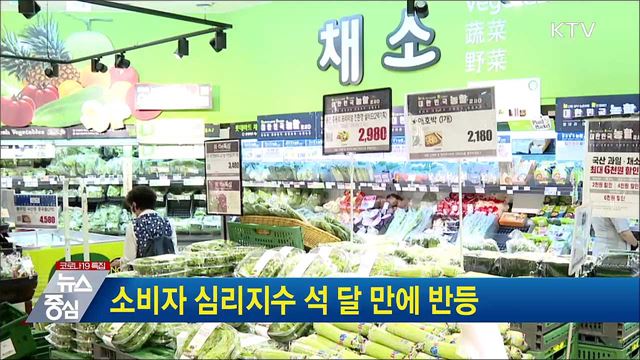 소비자 심리지수 석 달 만에 반등