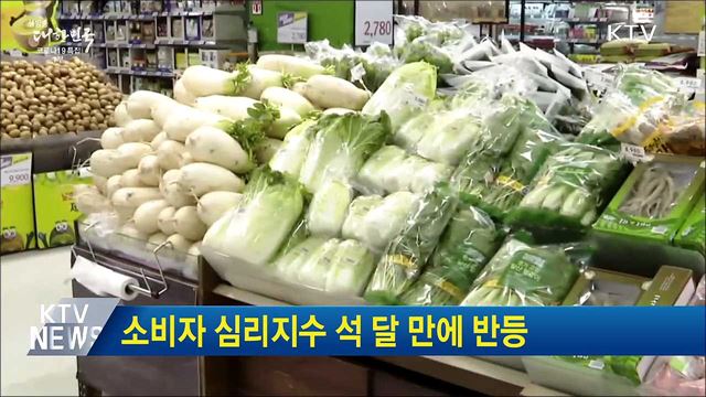 소비자 심리지수 석 달 만에 반등