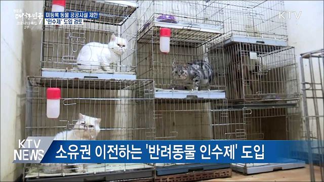 미등록 동물 공공시설 제한···'인수제' 검토