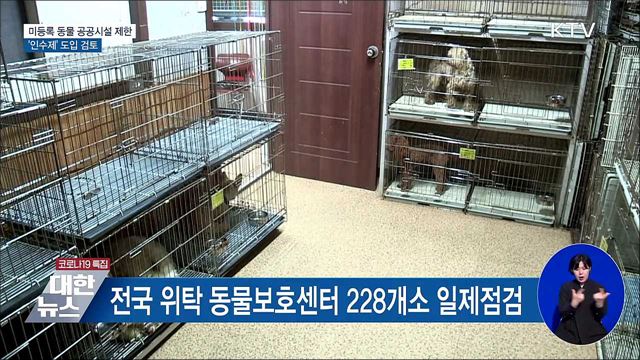 미등록 동물 공공시설 제한···'인수제' 검토