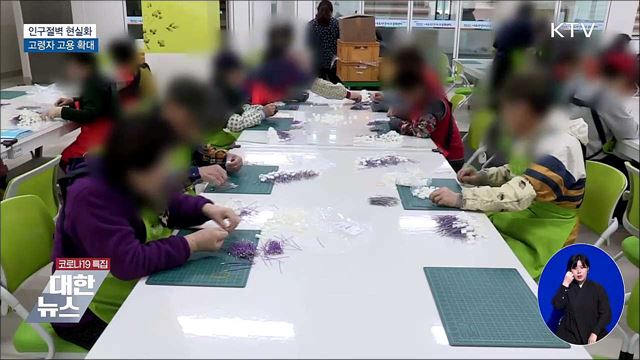 고령자 계속고용지원 장려금 확대···인구 충격 대비