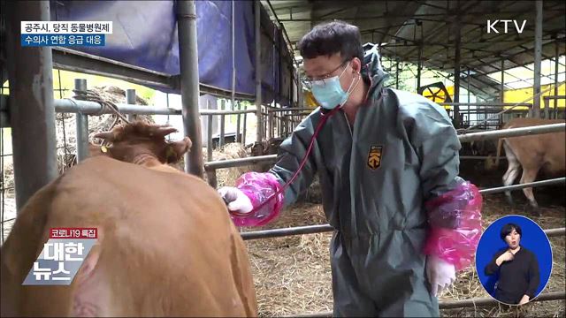 휴일 가축 응급진료···'당직 동물병원제' [우리동네 개선문]