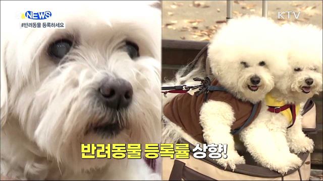 반려동물 유기 없도록···등록률 70%로 상향 [S&News]