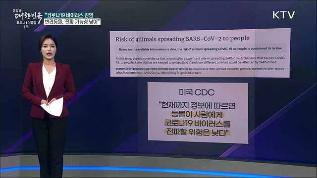 코로나19 감염 반려동물, 사람에게 바이러스 전파? [사실은 이렇습니다]