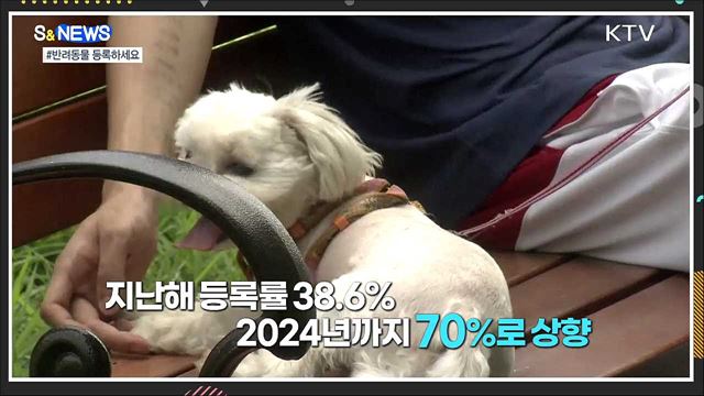 반려동물 유기 없도록···등록률 70%로 상향 [S&News]