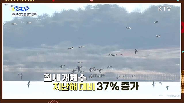 반려동물 유기 없도록···등록률 70%로 상향 [S&News]