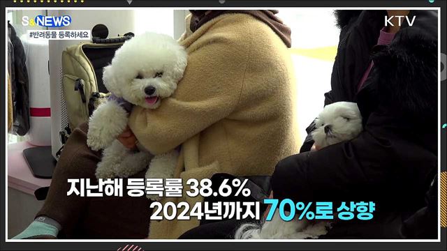 반려동물 유기 없도록···등록률 70%로 상향 [S&News]