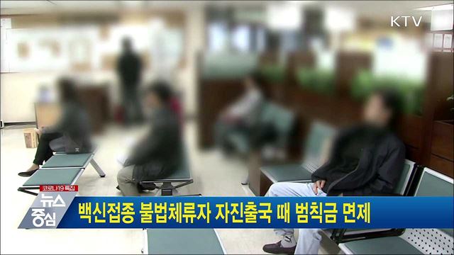 백신접종 불법체류자 자진출국 때 범칙금 면제