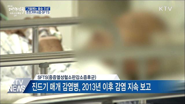 "가을에는 풀숲 조심"···쯔쯔가무시·SFTS 주의