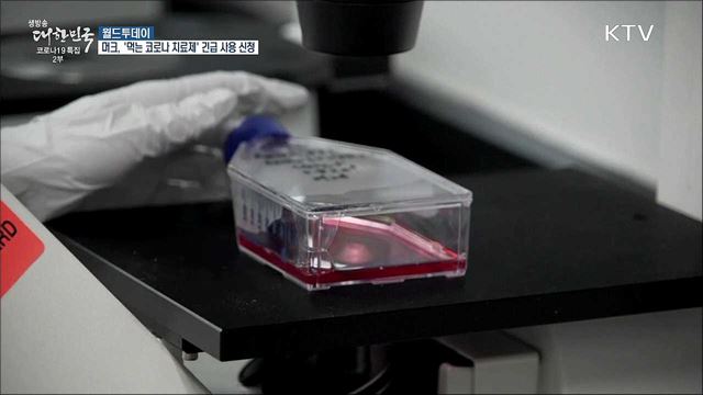 미 머크, '먹는 코로나 치료제' 긴급사용 승인 신청 [월드 투데이]