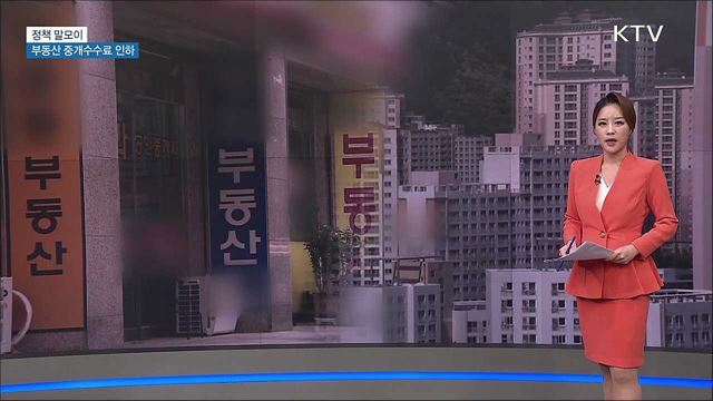 부동산 중개수수료 인하 [정책 말모이]