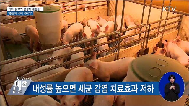 돼지·닭고기 항생제 내성률↑···"충분히 익혀 먹어야"