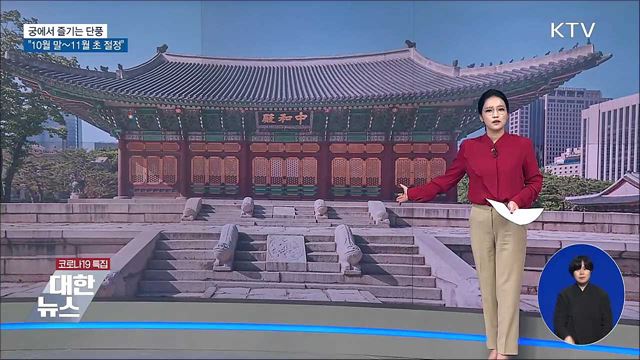 궁에서 즐기는 단풍···"10월 말~11월 초 절정"