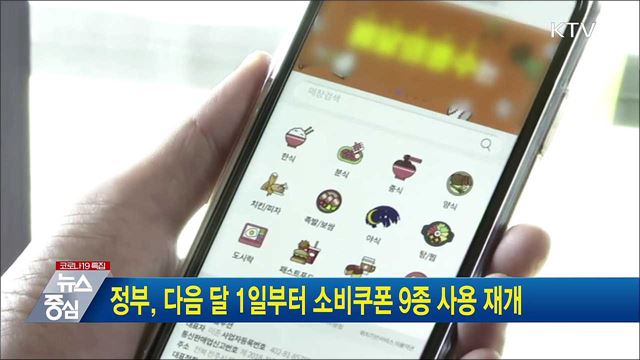 정부, 다음 달 1일부터 소비쿠폰 9종 사용 재개